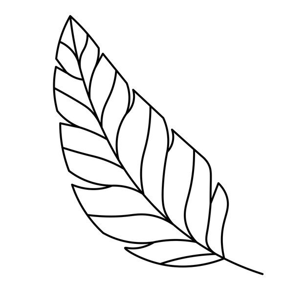 Hojas de palmeras tropicales Doodle simple clipart Todos los objetos se vuelven a pintar