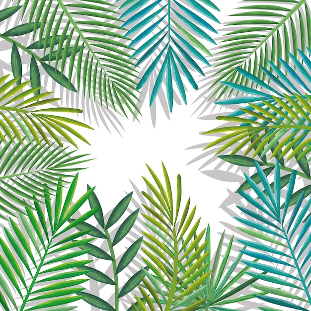 Vector hojas de palmeras tropicales y exóticas