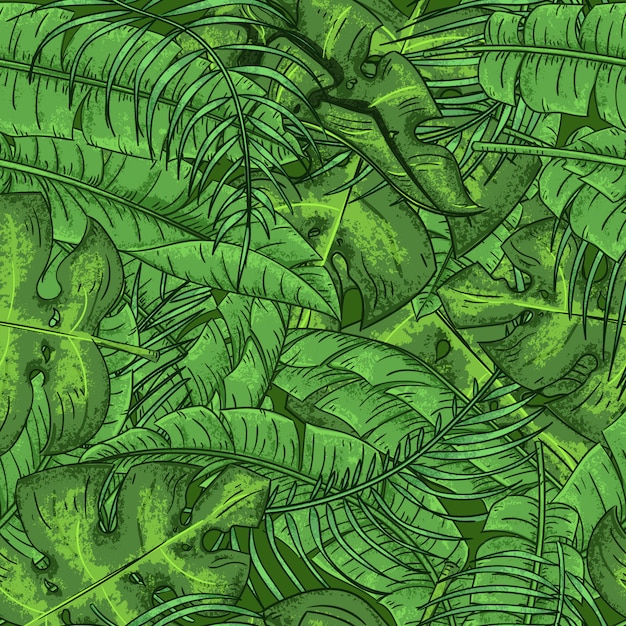 Hojas de palmeras tropicales hojas exóticas patrón floral transparente dibujado a mano hojas