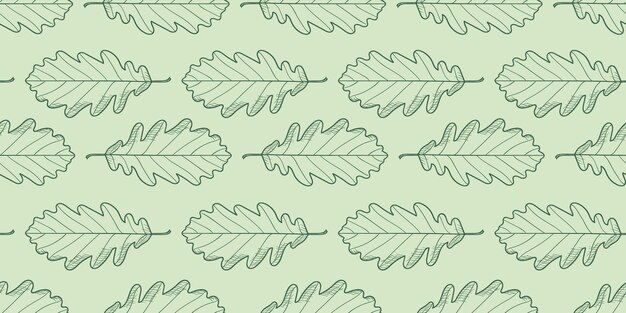 Hojas patrón vector fondo ilustración botánica