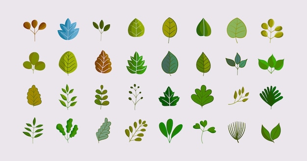 Hojas planas arbustos árboles hierba plantas silvestres dibujo a mano ilustración vectorial conjunto de elementos de la naturaleza