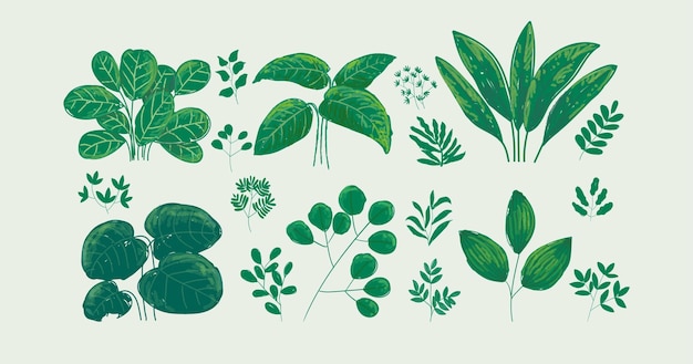 Hojas planas arbustos árboles hierba plantas silvestres dibujo a mano ilustración vectorial conjunto de elementos de la naturaleza
