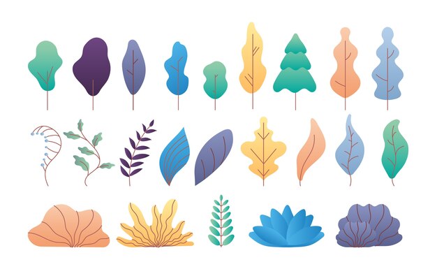 Hojas planas mínimas. Árboles, ramas y arbustos caducifolios y coníferos simples. Planta plana de moda y conjunto de follaje tropical. Bush y rama, ilustración de estilo de color de árbol de naturaleza