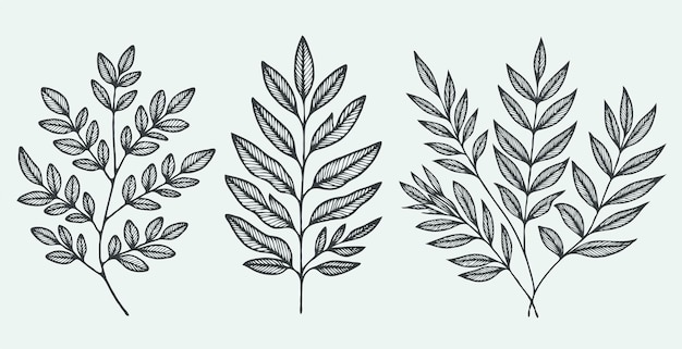 las hojas de la planta están dibujadas con tinta negra