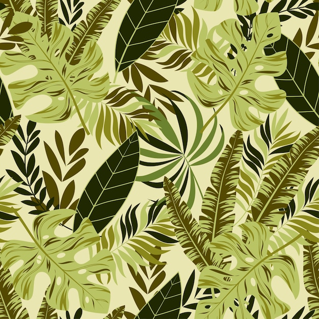 Hojas y plantas tropicales