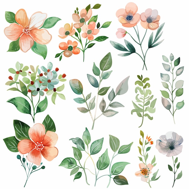 Hojas de primavera y flores de colores
