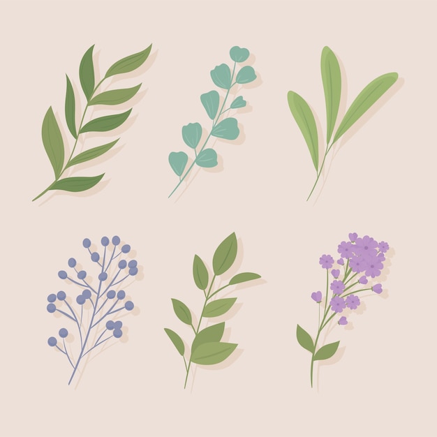 Hojas ramas y flores.