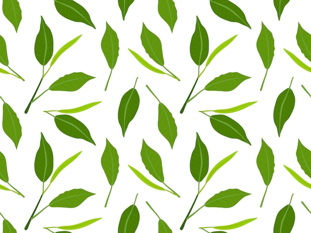 Hojas de té de patrones sin fisuras Hojas verdes frescas aisladas sobre fondo blanco Ramitas de té