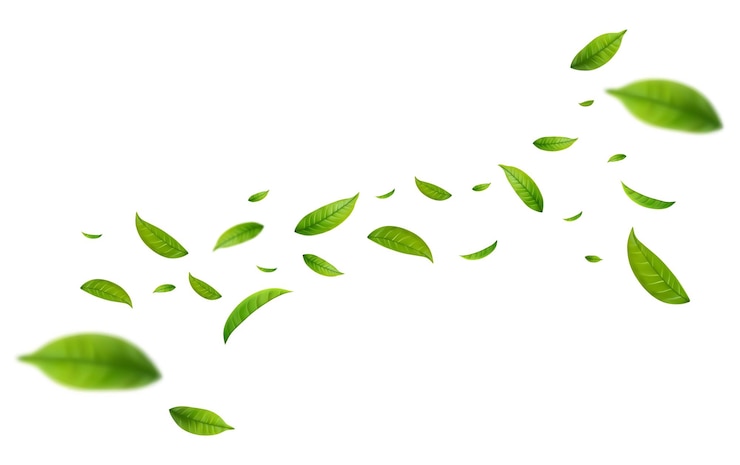 Vector hojas de té verde realistas en movimiento sobre un fondo blanco fondo con hojas de primavera verdes voladoras diseño orgánico eco vegano ilustración vectorial