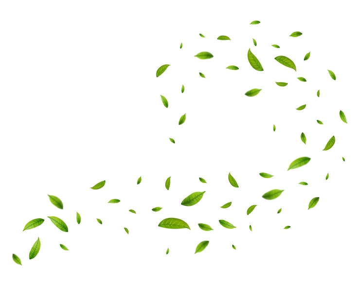 Vector hojas de té verde realistas en movimiento