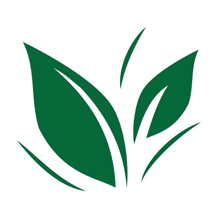 Hojas de té verde