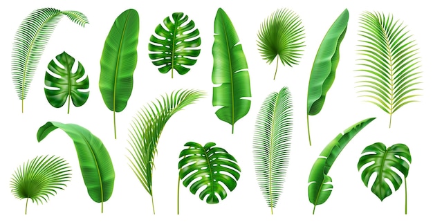 Hojas tropicales ambientadas en flora y vegetación exótica.
