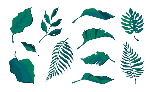 Hojas tropicales Elementos florales botánicos exóticos hoja de palma monstera philodendron follaje tropical iconos de rama de árbol colorido estilo de dibujos animados Vector conjunto aislado