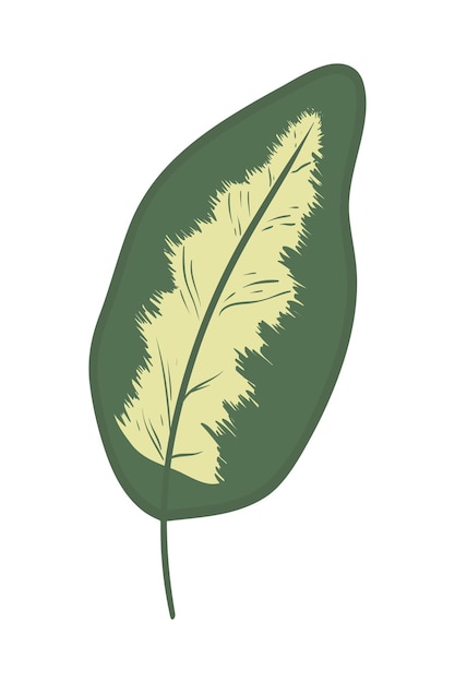 Hojas tropicales Elementos Ilustración vectorial dibujada a mano Hojas tropical y planta exótica abstracta