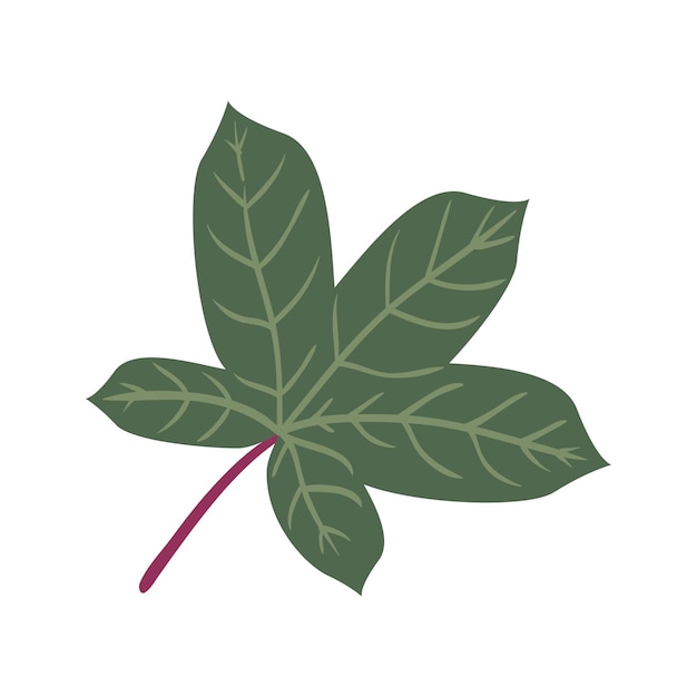 Hojas tropicales Elementos Ilustración vectorial dibujada a mano Hojas tropical y planta exótica abstracta