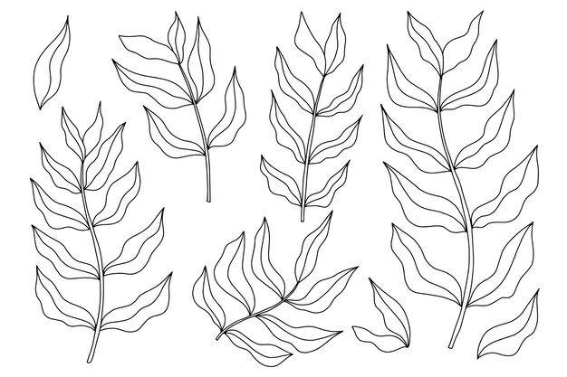 Hojas tropicales en estilo doodle Vector dibujado a mano elementos de diseño de línea negra Botánica exótica de verano