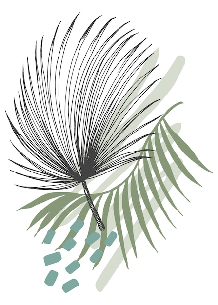 Vector hojas tropicales ilustraciones abstractas pintadas a mano para decoración de paredes postal social media banner