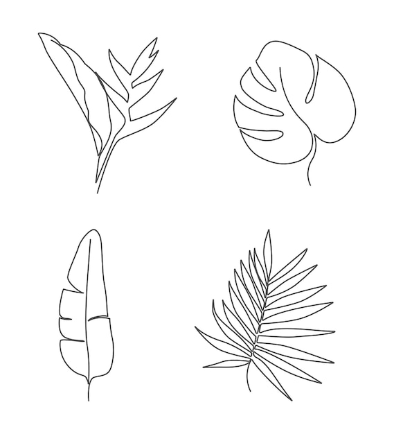 Hojas tropicales lineales_19