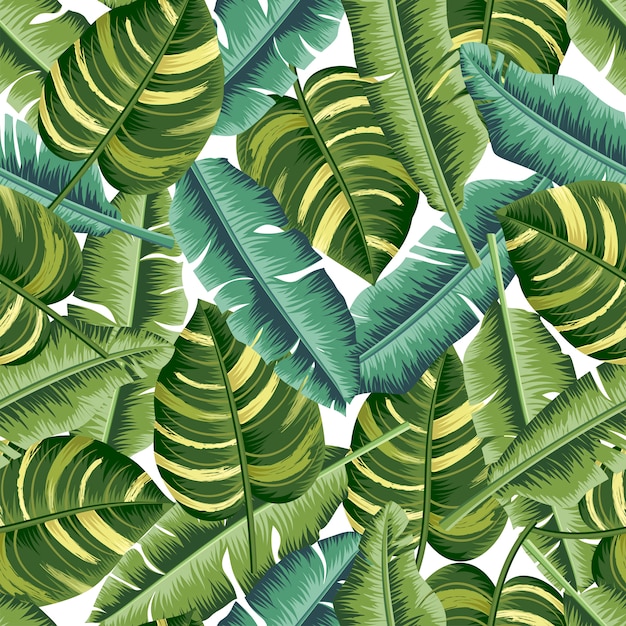 Hojas tropicales con patrón sin costuras