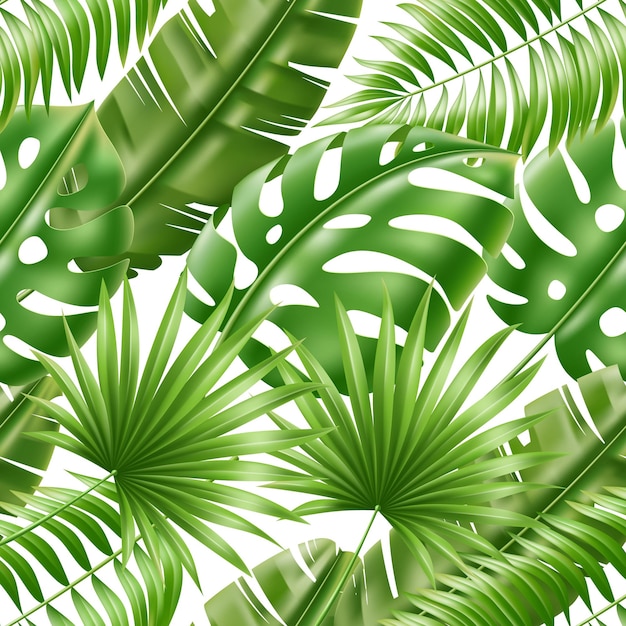 Vector hojas tropicales de patrones sin fisuras follaje de palma verde exótico plantas de plátano monstera realistas elementos botánicos 3d decoración papel de regalo textil impresión de verano fondo vectorial total