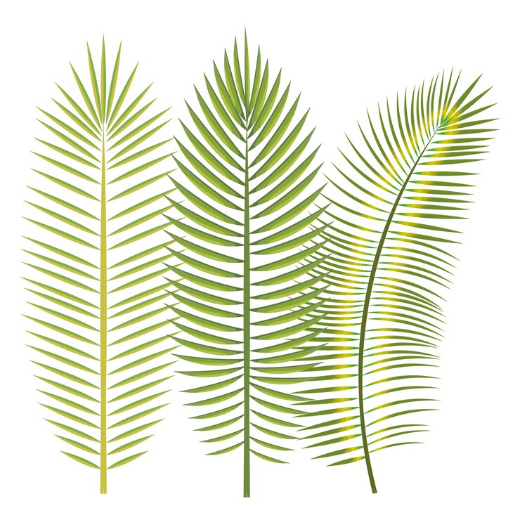 Vector hojas tropicales