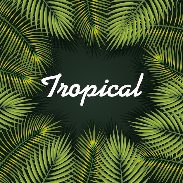 Hojas tropicales