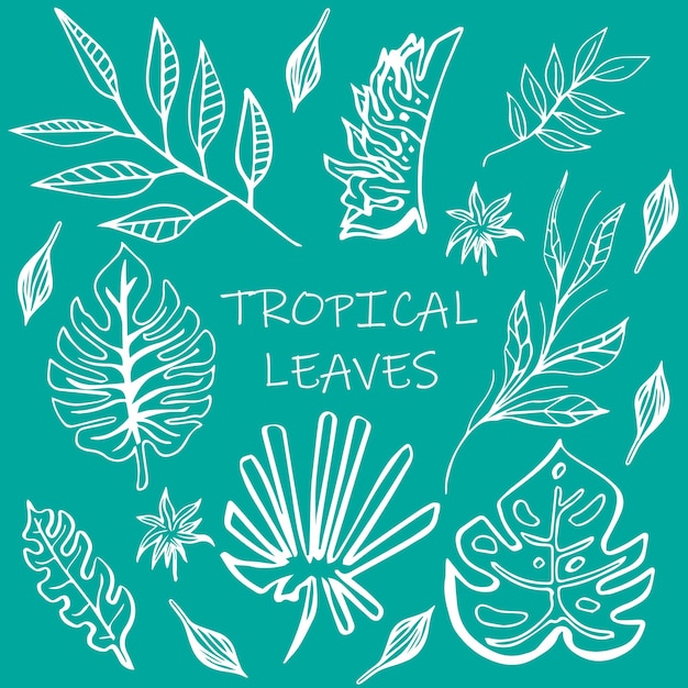 Vector hojas tropicales