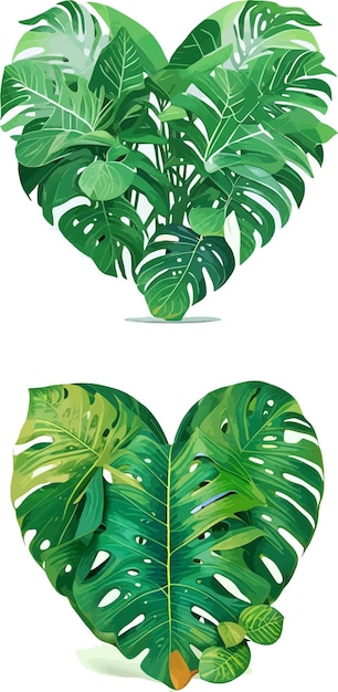 Vector hojas tropicales