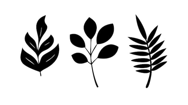 Hojas tropicales