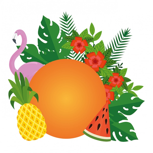 Vector hojas de verano plantas con frutas y ave flamenca.