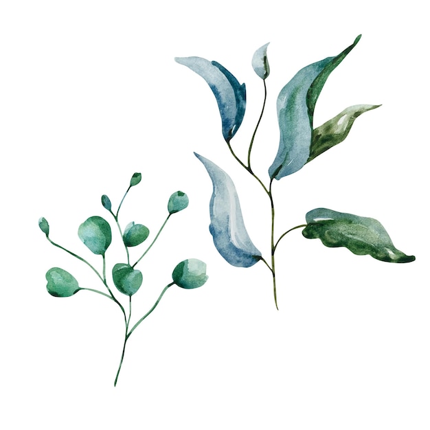 Hojas verdes acuarela conjunto ilustración floral