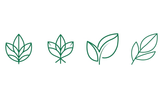 hojas verdes y flores sobre fondo blanco