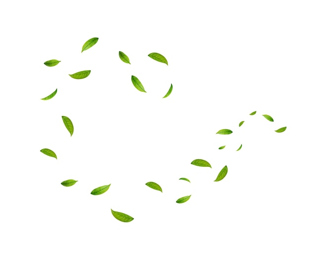 Hojas verdes flotantes