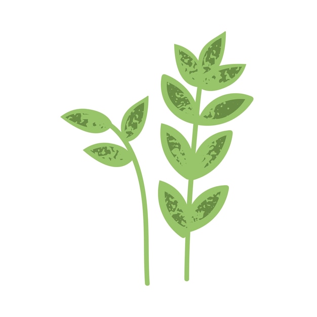 Hojas verdes follaje rama de la planta rama elementos de diseño botánico natural fresco ramita de vegetación composición decorativa de flora de hojas suaves ilustración vectorial plana aislada sobre fondo blanco