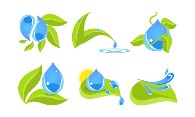 Hojas verdes y gotas de agua establecen vector de concepto de ecología ilustración aislada sobre fondo blanco