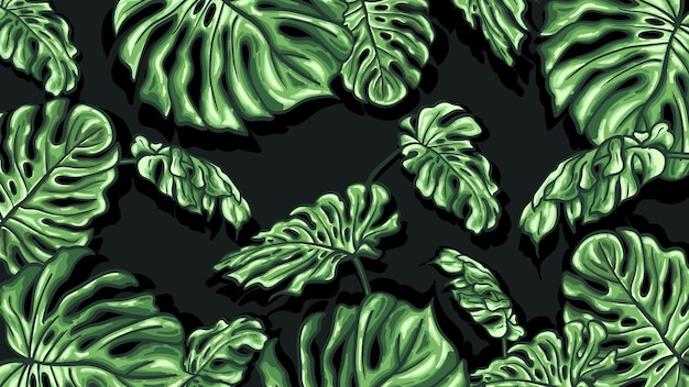 Vector hojas verdes monstera sobre un fondo oscuro