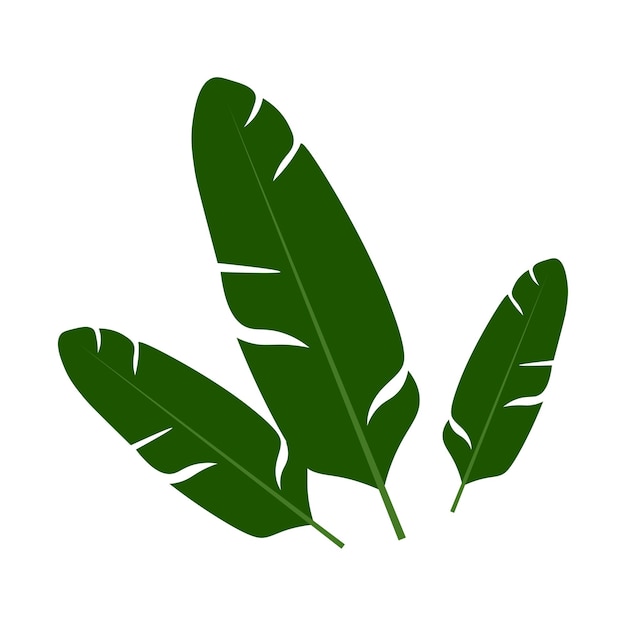 hojas verdes planta de la naturaleza