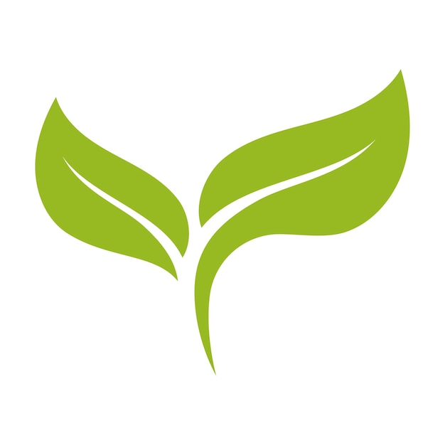 Las hojas verdes de la planta