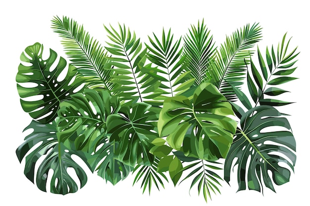 Hojas verdes de plantas tropicales arbusto Monstera palma caucho planta pino pájaros nido helecho floral