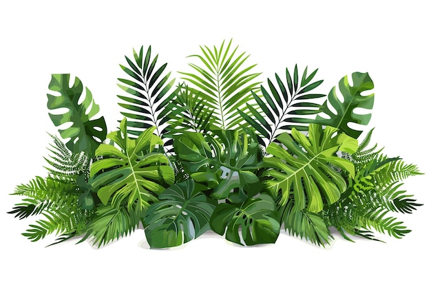 Hojas verdes de plantas tropicales arbusto Monstera palma caucho planta pino pájaros nido helecho floral