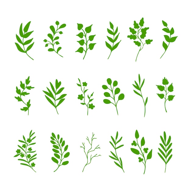 Hojas verdes y ramitas Conjunto de elementos de diseño de primavera dibujados a mano