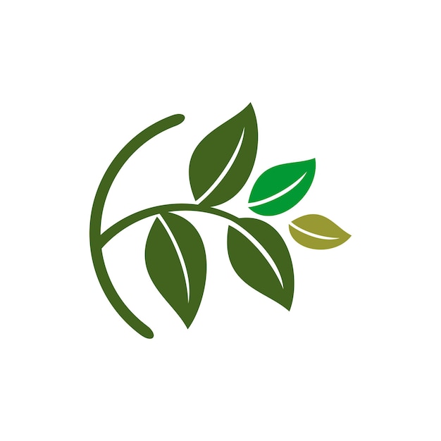 Hojas verdes vector Logo plantilla ilustración diseño Vector EPS 10