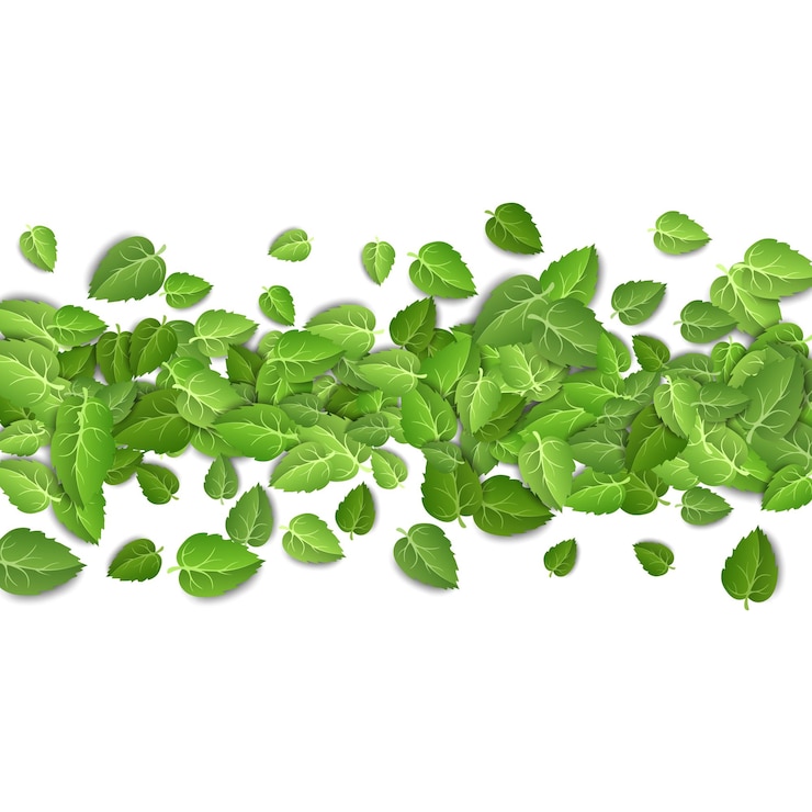 Vector hojas verdes voladoras sobre fondo blanco patrón de hoja de primavera sobre fondo aislado deja planta vector