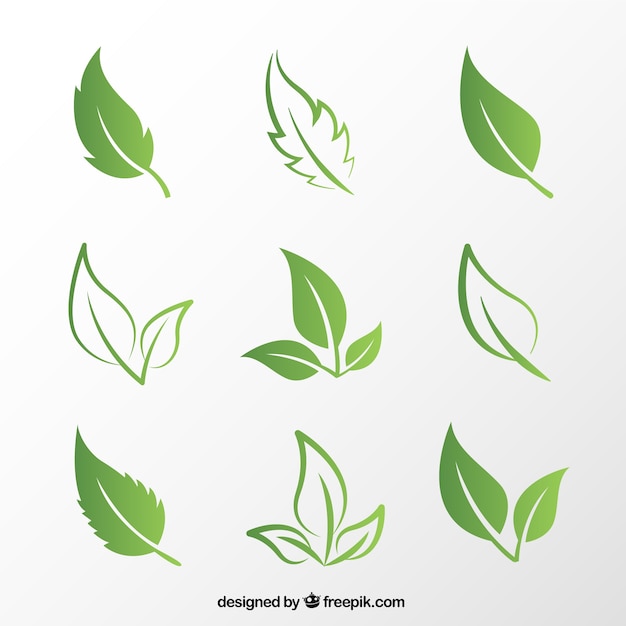 Vector hojas verdes