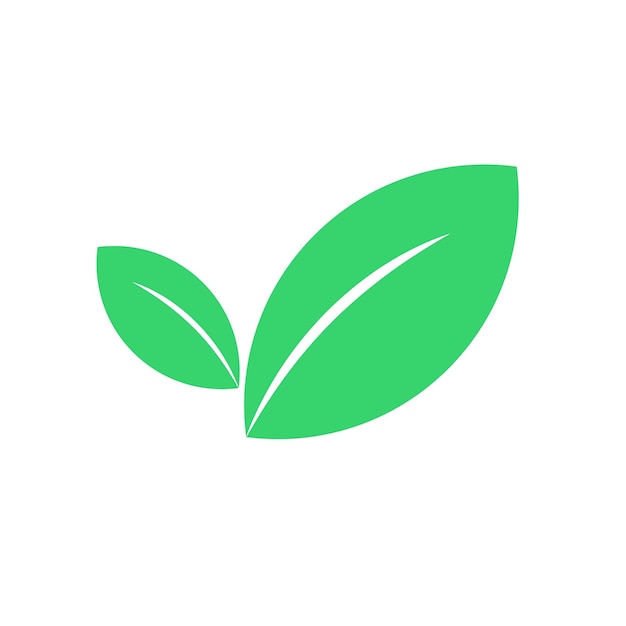 Hojas verdes