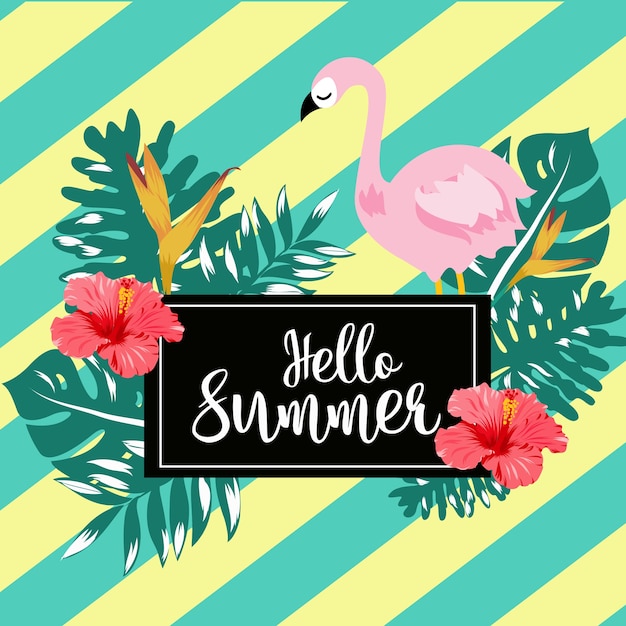 Hola banner de verano