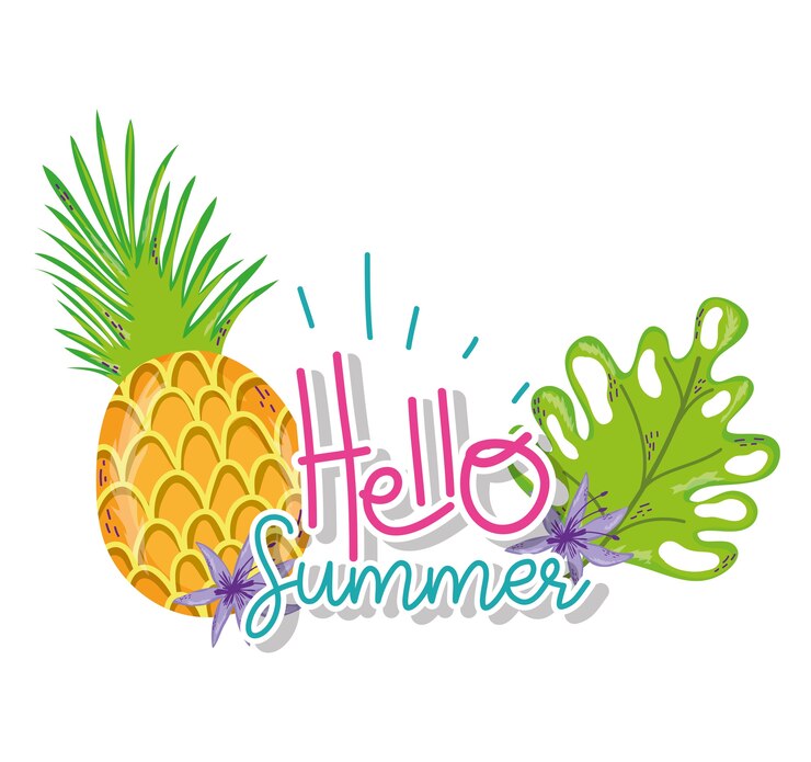 Vector hola caricaturas de verano