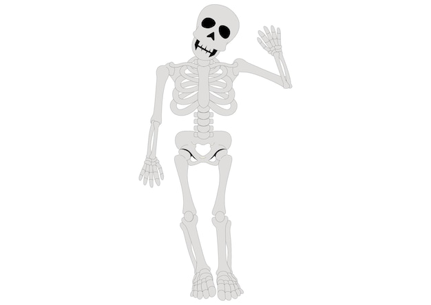 Vector hola esqueleto esqueleto de dibujos animados ilustración vectorial de esqueleto