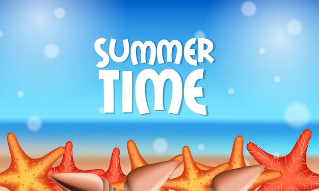 Hola horario de verano playa estrella de mar