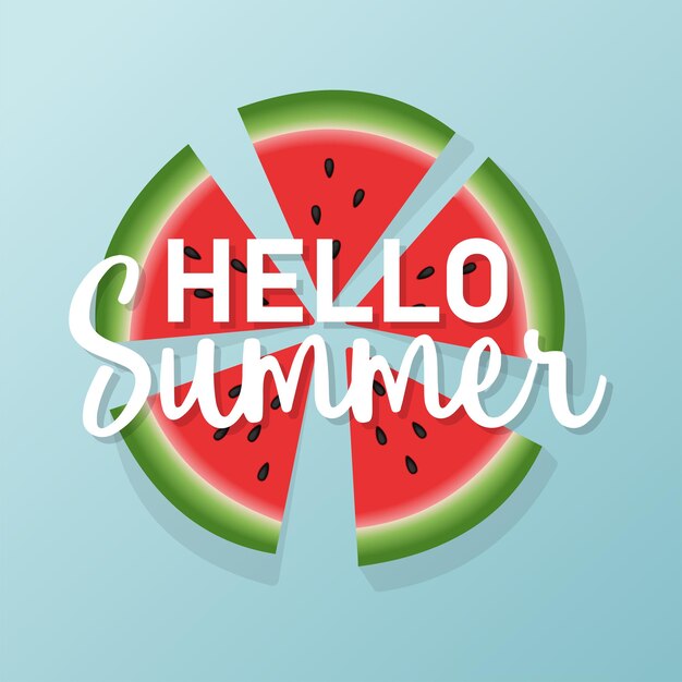 Hola inscripción de verano sobre un fondo de sandía Ilustración vectorial